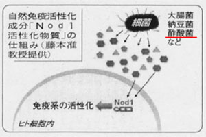 日刊