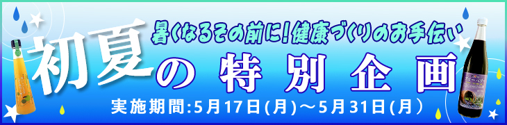 夏の特別企画