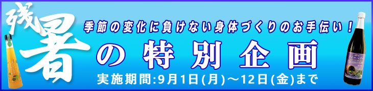 残暑の特別企画