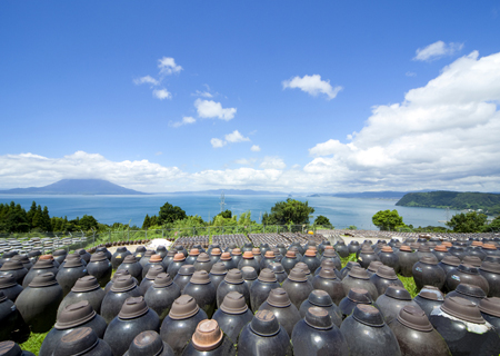 かめ壷畑の光景