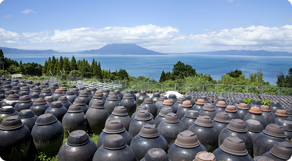 純玄米黒酢　かめ壷